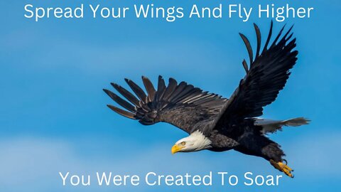 You Were Created To Soar / Spread Your Wings And Fly Higher