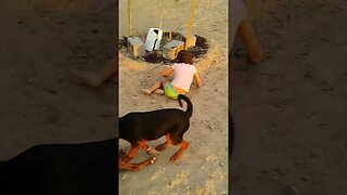 Kids and Dogs playing 37