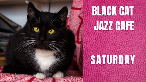 Chill to cool jazz at the BLACK CAT JAZZ CAFE SATURDAY