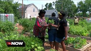 Couple to get married at community garden