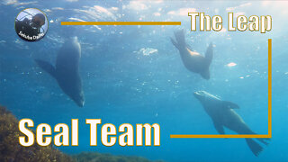 Seal Team | Scuba Diving at The Leap | Aug 2021