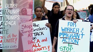 Honest lives jeopardized as Trump repeals DACA