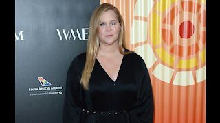 Amy Schumer diagnosed with Lyme disease