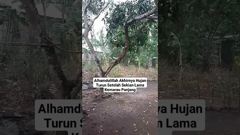 Alhamdulillah Hujan Turun di Lombok