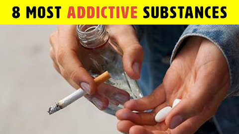 8 Most Addictive Substances On The Planet