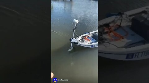 what a kayak