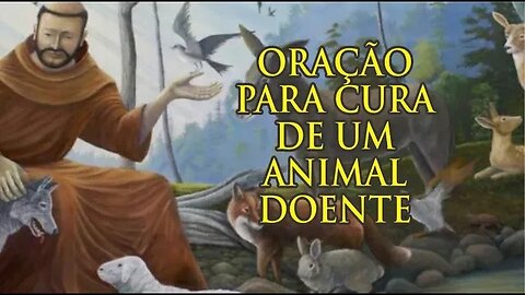 A poderosa oração de São Francisco de Assis para a saúde de seu animal de estimação