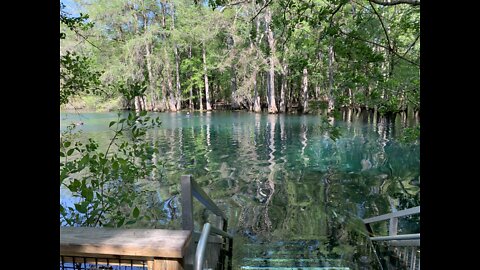 Manatee Springs & Catfish Hotel Sink March 25, 2021