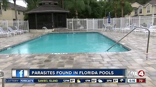 Florida counties investigating cases of cryptosporidium parasite in pools