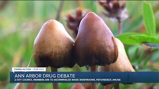 Ann Arbor council members push to decriminalize magic mushrooms