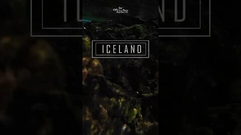 Iceland – Diving Under the Ice #shorts 40