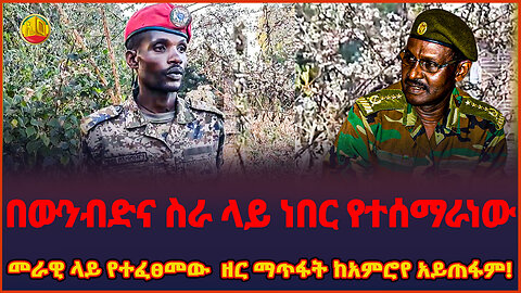 Ethiopia : በውንብድና ስራ ላይ ነበር የተሰማራነው መራዊ ላይ የተፈፀመው ዘር ማጥፋት ከአምሮየ አይጠፋም! || Ethio online