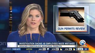 Concealed weapon permit review finds mistakes in Florida