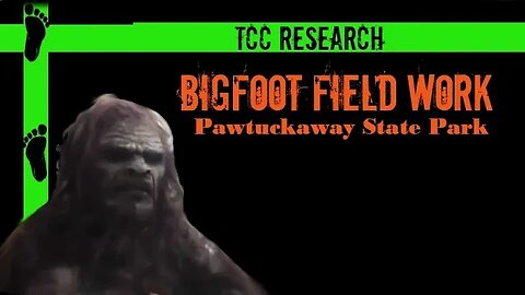 Bigfoot Field Work in Pawtuckaway State Park | Follow-up Investigation