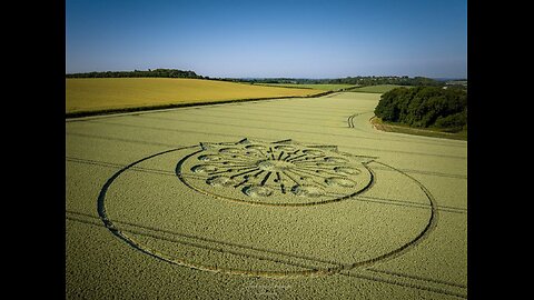 Crop Circle appears in Wiltshire, England - July 17, 2022.