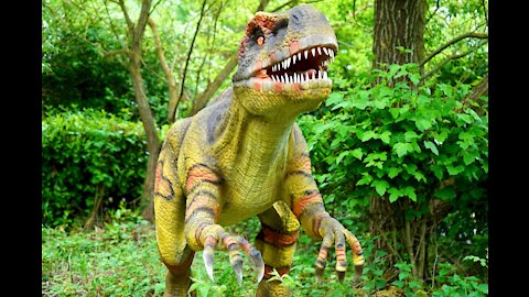 Dinosaur for Kids!