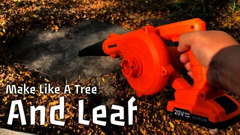 Small & Powerful Cordless Leaf Blower Review