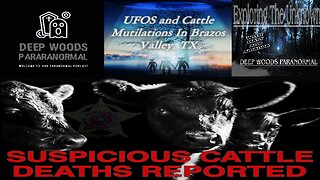 UFOS and cattle mutilations in Texas. What's going on?