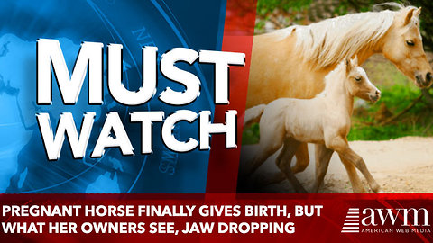 Pregnant Horse Finally Gives Birth, But What Her Owners See, jaw dropping