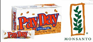 Payday Monsanto - The Bad Guy