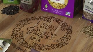 1000 springs mill starts harvesting hemp grain