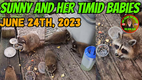 Sunny And Her Timid Babies | June 24th, 2023