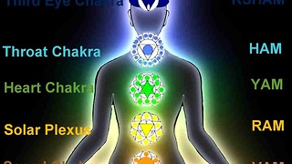 Chakra Meditation and Healing with Beej ( Seed ) Mantras