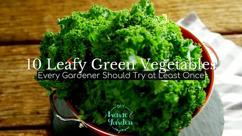 10 Leafy Green Vegetables Every Gardener Should Try to Grow at Least Once