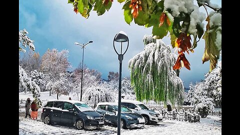 Ifrane – The Little Switzerland of Morocco🏔 🗻