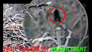 Eagle Cam Bigfoot | Enhancement