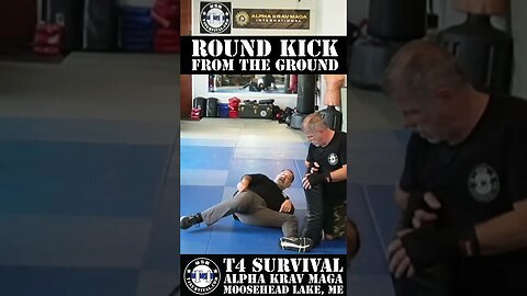 Round kick from the ground #selfdefense #kravmaga #martialarts #mma #groundfighting #fight