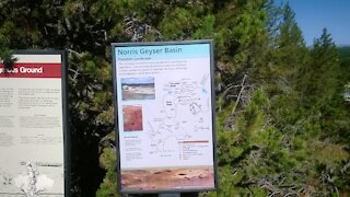 Norris Geyser Basin