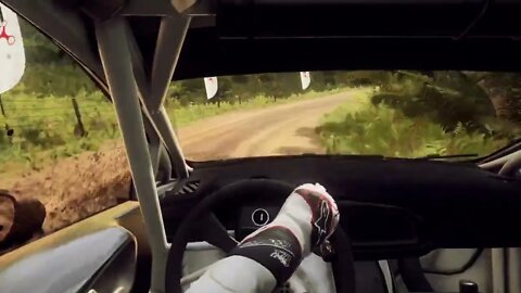 DiRT Rally 2 - Fiesta MKII Trailblazes Through Te Awanga