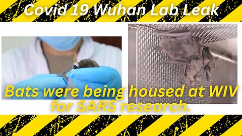Shi Zhengli on a Promotional Video for WIV Reveals Bats in Cages for SARS Research - Lab Leak