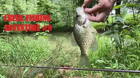 Scooter creek fishing adventure #8. Chiques and Hammer Creek. Close call and bad drivers too