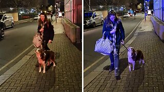 Pup Howls Along To Passing Fire Engine