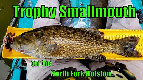 Trophy Smallmouth on the North Fork Holston, A 21 inch beauty!