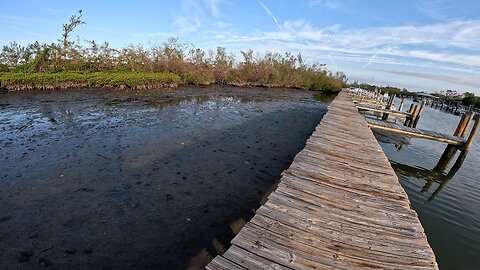 Fishing a super low tide for SNOOK and REDFISH