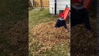 Daughter's Big Leaf Jump Fall Autumn Fun