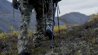 Alaskan Caribou Hunt ￼