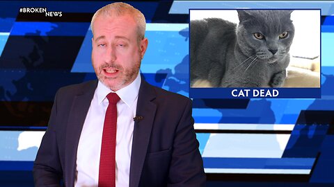 #BrokenNews: Cat Death Dominates UK News - Larry and Paul