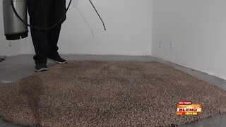 Cleaner Carpets, Cleaner Home