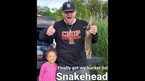I finally caught one of my bucket list fish #snakehead #blackwaterwildliferefuge #blackwater