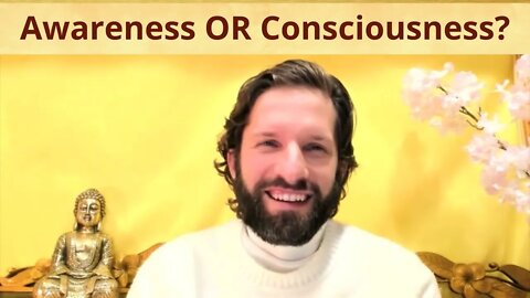 Awareness OR Consciousness?