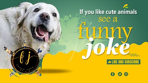 If you like cute animals, be sure to watch Fanny Joke