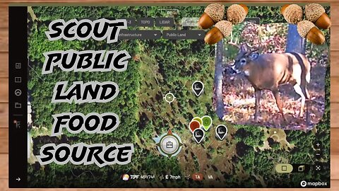 Scouting Public Land Food Sources