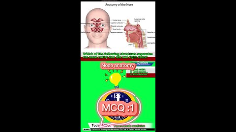 Nose anatomy MCQ:1 Medical vidoe pharmacology #quiz #mcqs#MedicalQuiz