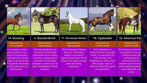 Top Most Expensive Horse Breeds In The World