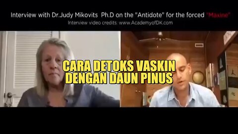 Cara Detoks vaksin dengan daun pinus