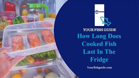 How Long Does Cooked Fish Last In The Fridge?
